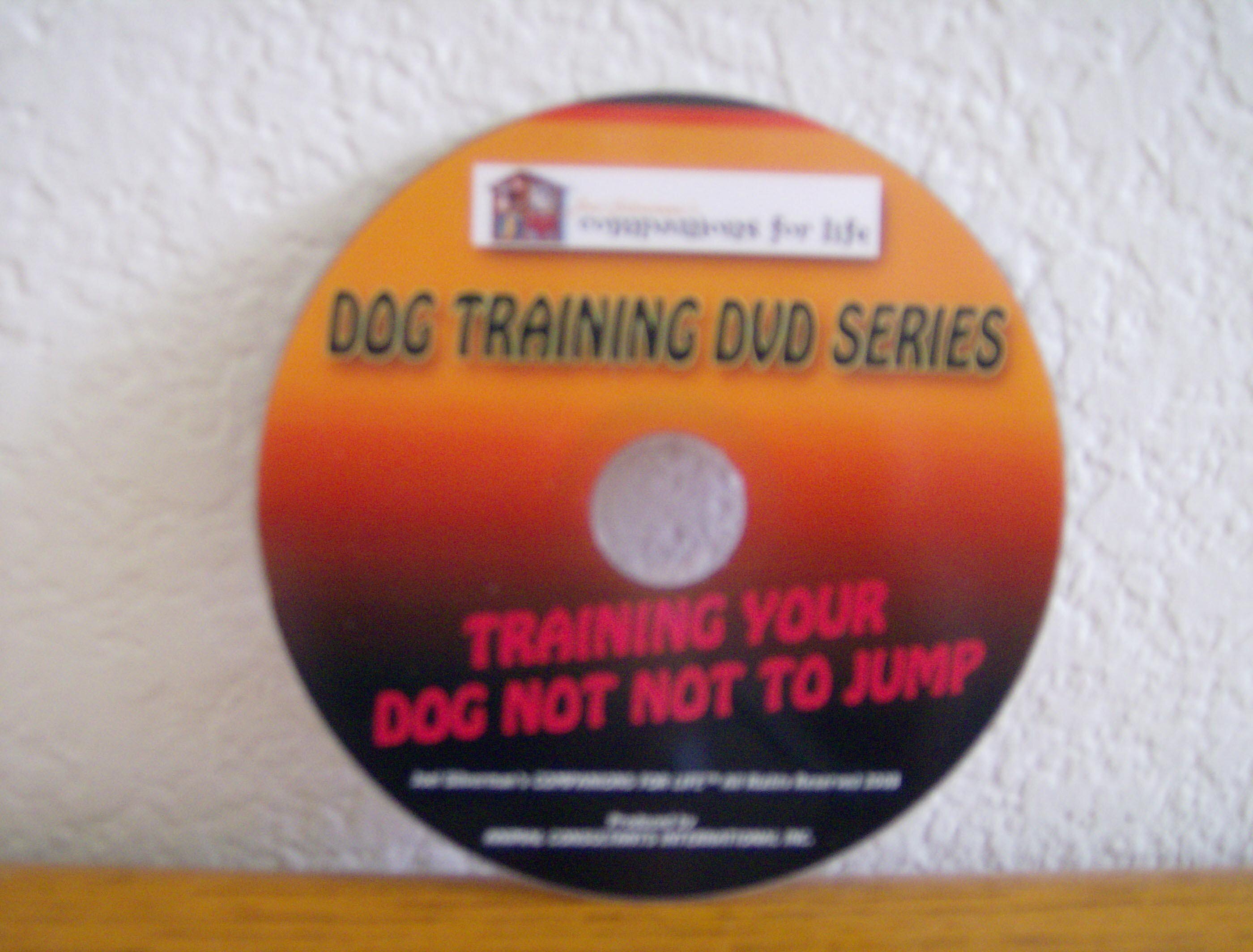 training your dog not to jump